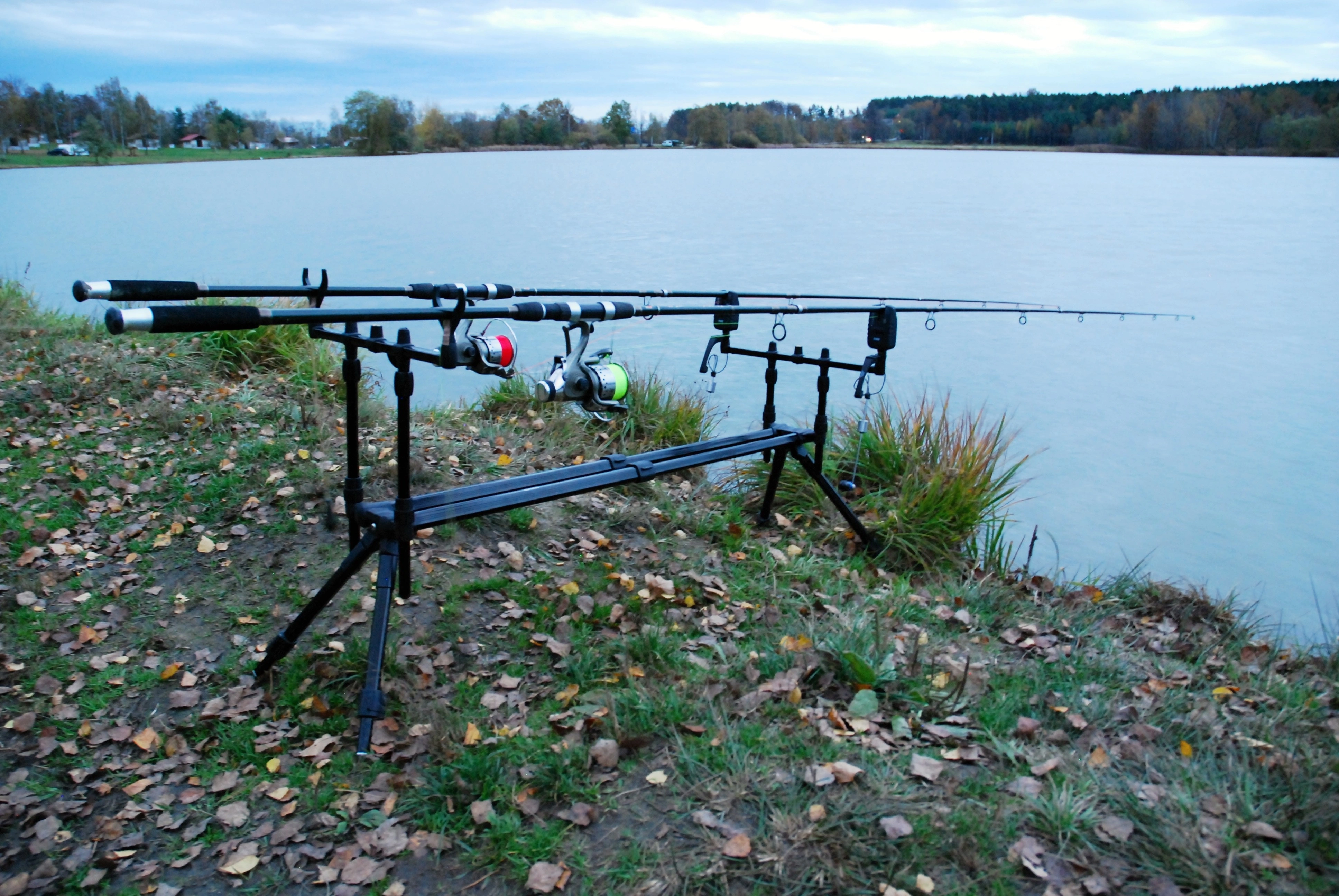 Las mejores cañas de pesca para principiantes en 2026