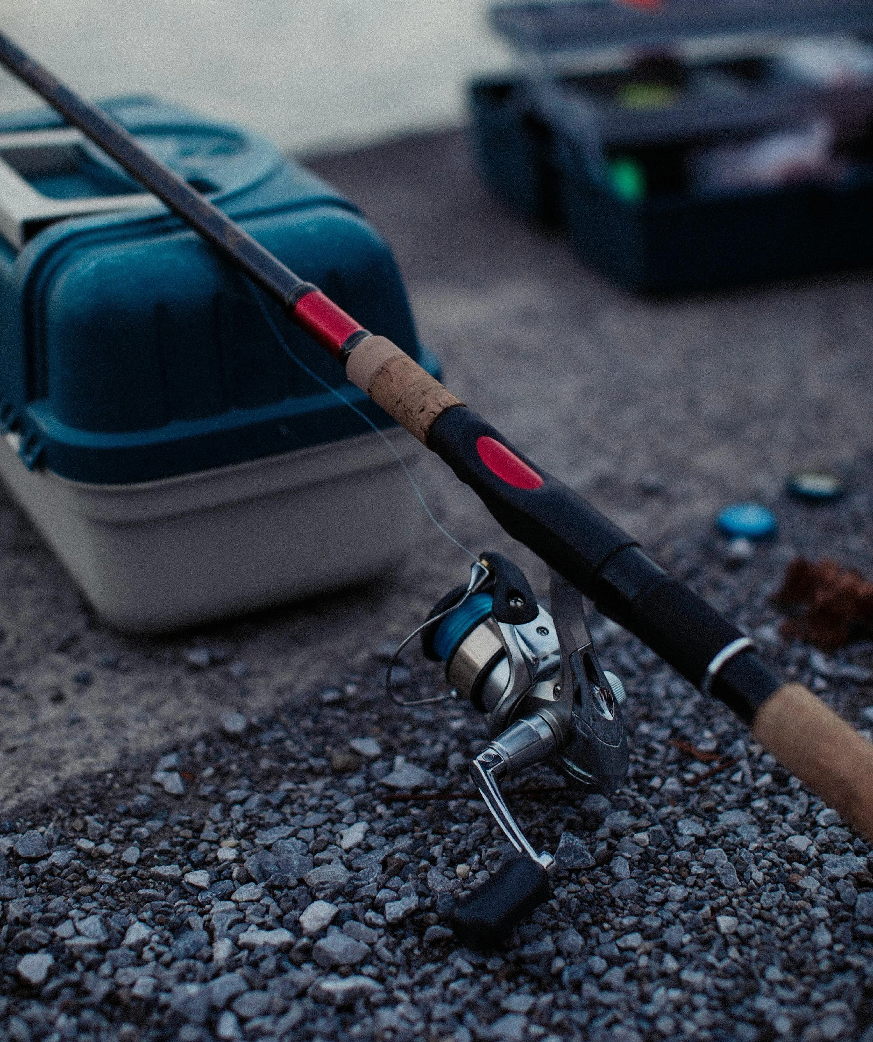 Contacto Inshore Angler 4