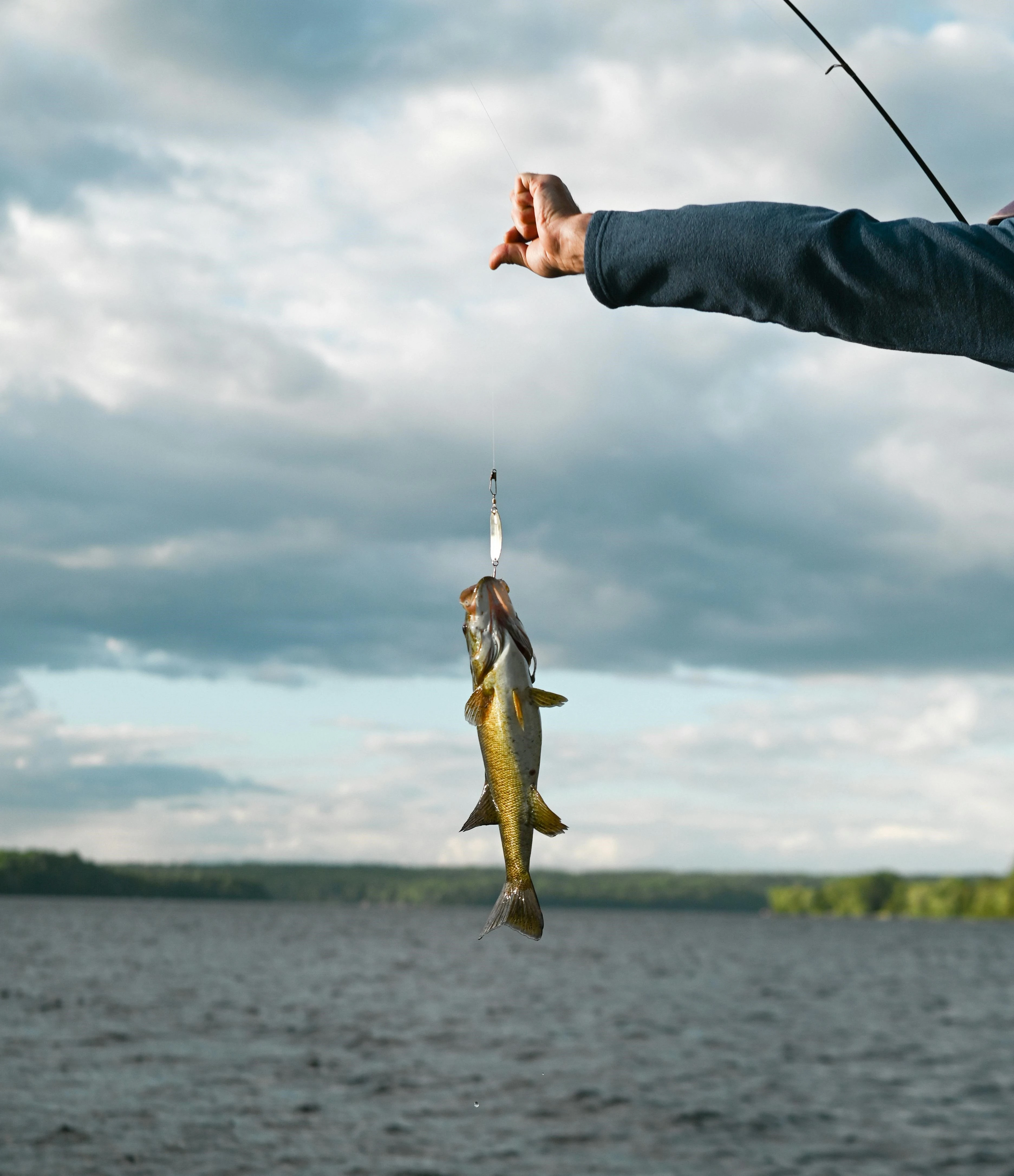 Contacto Inshore Angler 5