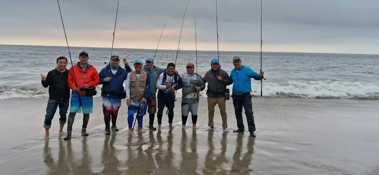 Equipo profesional