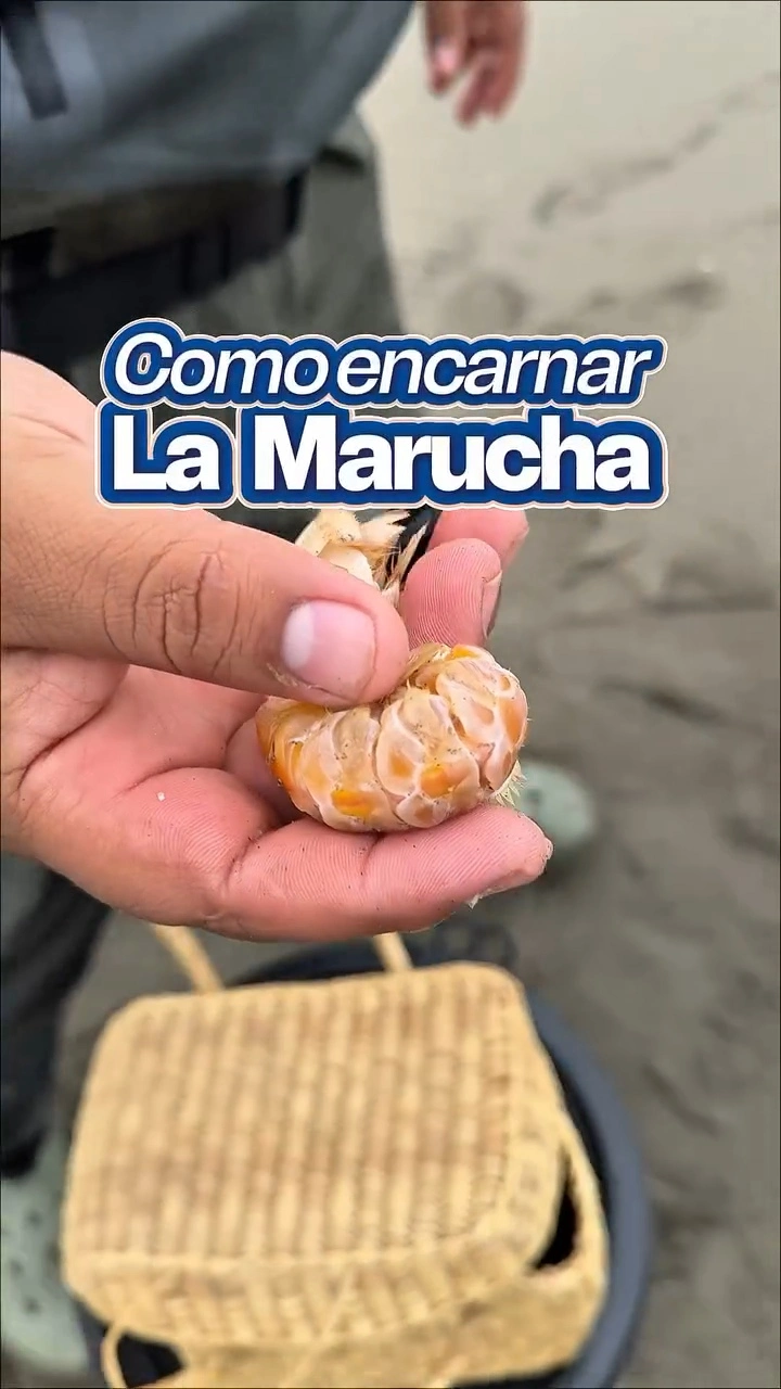 Post 4
